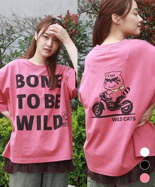 【Tシャツ】 ワイルドキャッツ BIG英字 Tシャツ