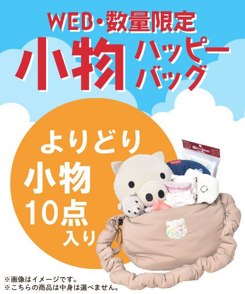 【WEBSHOP限定販売】小物HAPPYBAG 小物10点セット