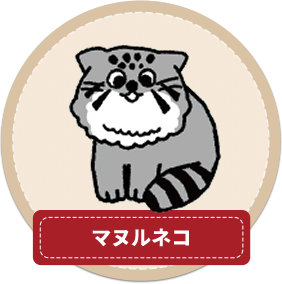 マヌルネコ